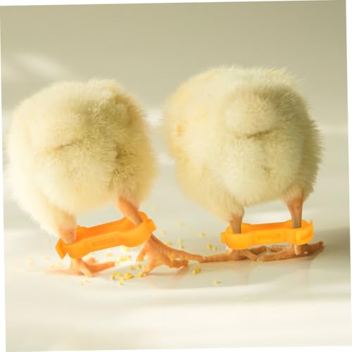 Toddmomy 15pcs Chick Leg Correction Bands PVC Splay Leg Fix for Chicks Quails Ducks Parrots Durable and Reusable for Poultry