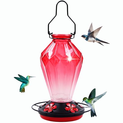 Glass Hummingbird Feeder for Outdoors Hanging, 25Oz Humming Bird Nectar Feeder, Perch, 5 Flower Feeding Ports, Leak Proof Base, Hook for Outside Garden Backyard, Gift for Women Mom, Diamond Red - color: Diamond Red