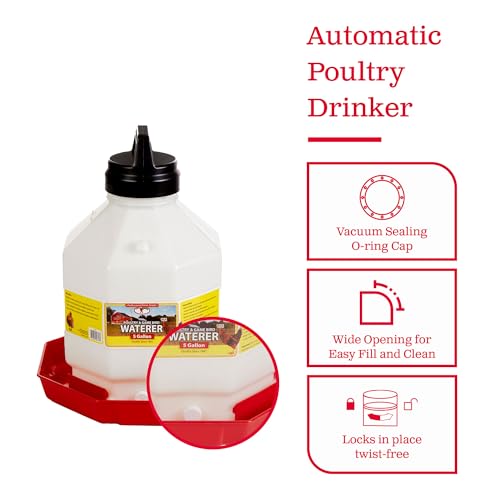 Little Giant PPF5 5 Gallon Automatic Poultry Waterer for Chickens, Red (2 Pack)