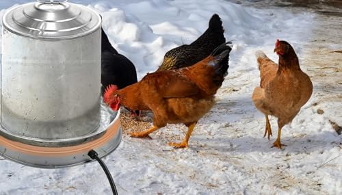 2 Pcs Poultry Chicken Water Heater: Chicken Water Heater Base for Winter, for Plastic/Metal Poultry Watere Under 6 Gallons, Heated Waterer for Chickens 125W - size: 15 inch (2-Pack)