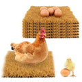 6 Pack Nesting Box Pads - Nesting Pads for Chicken Accessories, 12"x 12" Washable Reusable Chicken Nest Liners for Laying Eggs, Chicken Supplies (Yellow) - color: Yellow