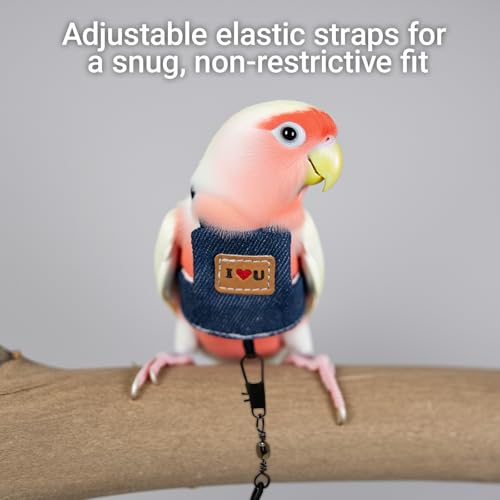 Bird Flight Harness Vest, Adjustable Training Design Anti-Bite, Suit with Leash for Parakeets Cockatiels Conures Budgies, Bird Flying Clothes with Rope and Handle (Cowboy L) - color: cowboy, size: L