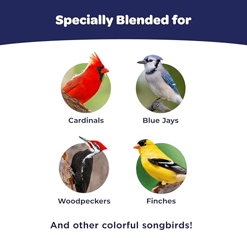 Kaytee Liberty Blend Wild Bird Food, for Cardinals, Blue Jays, Finches & Other Outdoor Wild Birds, 8 Pounds - size: 8 Pound (Pack of 1)