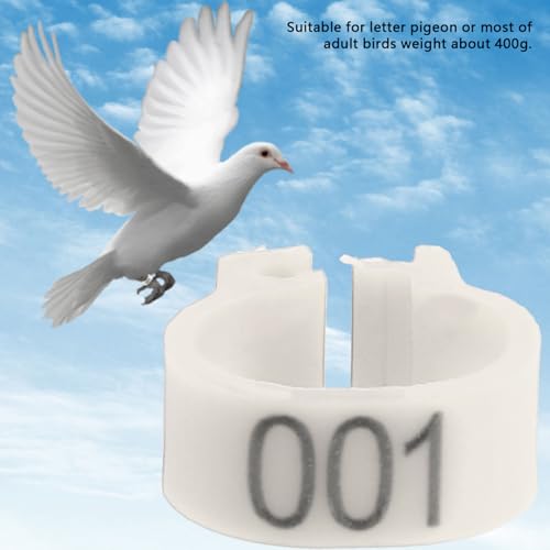 Bird Identification Leg Rings, Adjustable Chicken Leg Rings, Color Coded Legs Bands for Most Adult Pigeons Weighing Around 400 Grams(White) - color: White