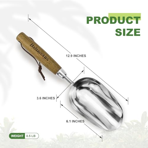 Haliaeetus Potting Soil Scoop, Bend Proof Stainless Steel Gardening Scoop | 1 Cup Big Volume Garden Soil Scoop, Comfortable Wood Handle Soil Scoop for Transplanting, Cultivation,Composting and Planting
