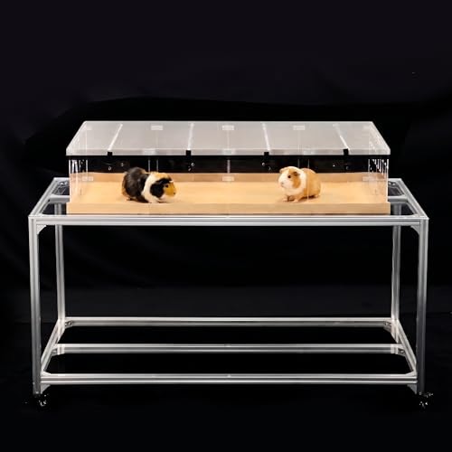 GuineaLoft™ Model-A2 Acrylic Guinea Pig Cage w/Translucent Gauze Lid | Supporting Beams & Connect/Roaming Doors, Large 4x2ft Expandable C&C Cage, Works Also For Bunnies, Button Quails, Hedgehogs - color: Model-A2