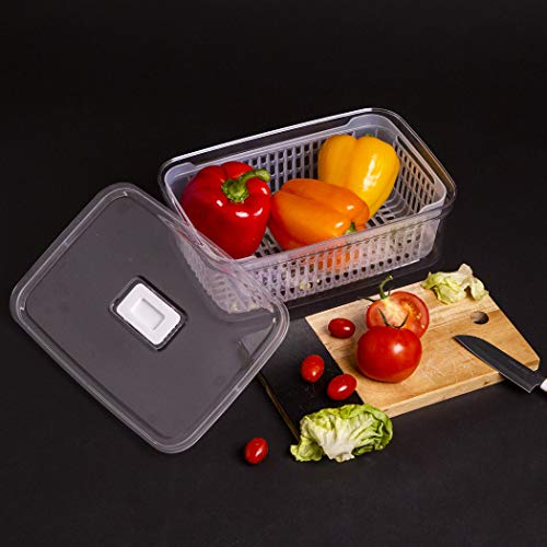 BINO | Produce Saver - 15.2 Cup/3.6L | Fridge Storage Containers for Fruits and Vegetables | Vegetable Storage with Adjustable Air Vent, Removable Basket | BPA-Free Fridge Organizers and Storage - size: 15.2 Cup