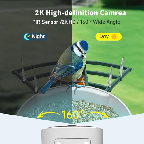 Smart Bird Feeder with Camera Solar Powered & AI Bi rd Identification, 2.4Ghz WiFi Bird feeders for Outdoors, 2K Live Video, Instant Arrival Alerts - Best Gifts for Bi rd Lovers - Green - color: Green