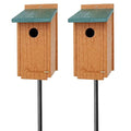 Audubon Premium Bluebird House Package with Poles