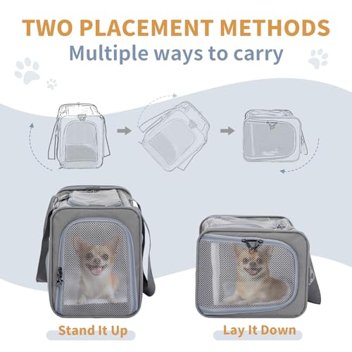 ‌Petsfit Airline Approved Pet Carrier for Small Dogs & Cats, 19x9x12 TSA Approved Carrier, with Removable Dual-Sided Padding (2-Way Placement) - Fits Under Most Airplane Seats, Escape Proof (Grey) - color: Grey, size: 19.0"L x 9.0"W x 12.0"H