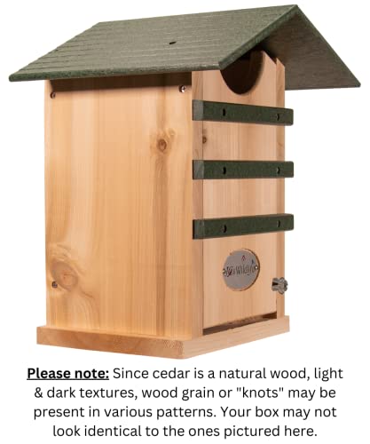 Screech Owl House Cedar Nesting Box with Poly Lumber Roof, Saw-Whet Owl Box for Outside, Drainage Ventilation, Easy Cleanout, Made in USA, Green - color: Green