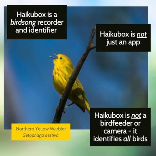 Bird Song & Call Identifier: 24/7 backyard sound identification | Better than a camera, uses sound to ID resident & migrating hummingbirds, warblers, hawks, owls, orioles, woodpeckers & more!