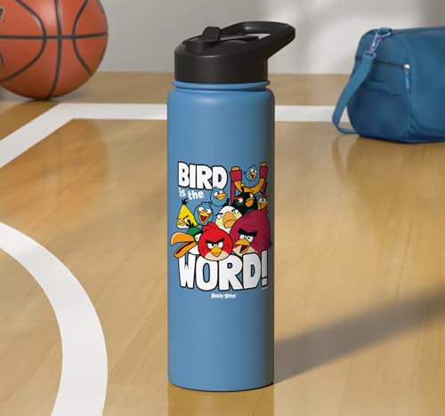 Angry Birds Group Bird is the Word Stainless Steel Insulated Water Bottle - color: Light Blue