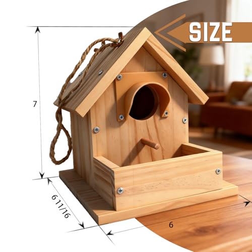 Bluebird Houses for Outside with Pole, Cedar Wooden Bird Houses to Paint for Finch Bluebird Cardinals, Hanging Birdhouses W/Rain Awning Kits for Outdoors (DIY Detachable, 2 Pack) - style: 2pcs Bird House