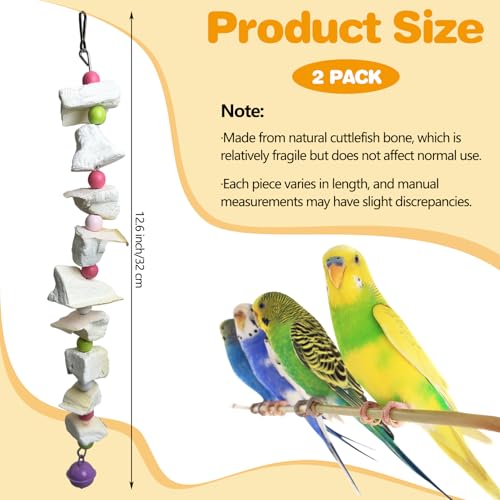 PINVNBY 2 Pack Bird Toys with Cuttlebone Calcium Parakeet Chewing Toy Hanging Bird Beak Grinding Stone Cage Accessories for Parrot Budgie Lovebird Cockatiel (Small) - size: Blocky