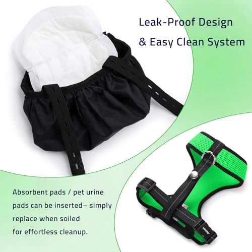 Adjustable Chicken Harness Diaper (5.4ft Leash) – Breathable & Washable Secure Training for Hens, Ducks & Chicks | Outdoor Walking & Discipline Solution - color: Green, size: Large