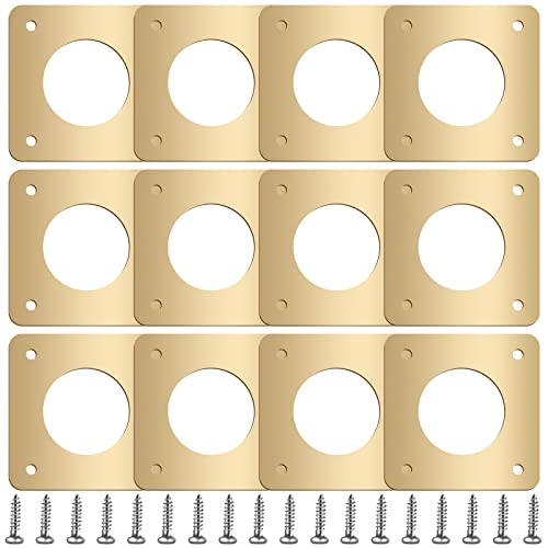 Hotop 12 Pcs 1 1/8 Inch Opening Bluebird Metal House Hole Guard Portal Bird House Protect Bird Room Guard Copper Portal with Opening for Eastern Bluebird Rooms Sparrow Houses(Gold) - color: Gold, size: 1 1/8 Inch, style: Opening