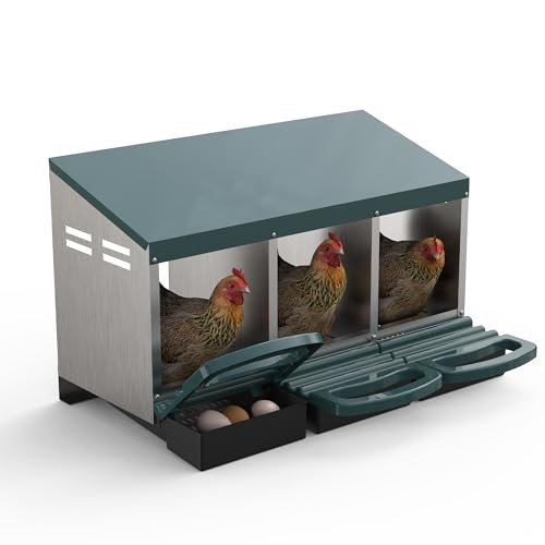 GarveeLife Chicken Nesting Box 3 Hole, Galvanized Steel Nest with Roll Away Egg Collection & Swing Perch, Easy-Clean Laying Box for Hens, Heavy Duty Design for Chicken Coop - color: Green, size: 3 holes