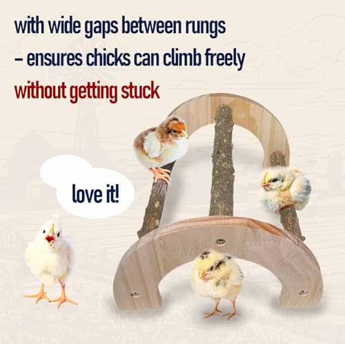 Natural Wood Chick Perch for Brooder, Baby Chicken Roosting Bars(1 Pack) - size: 1 Pack