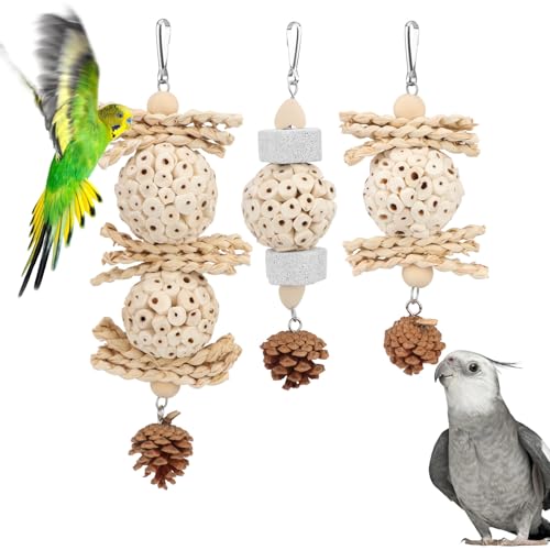 Wontee Bird Toys 3 Pack Parrot Foraging Hanging Toys Sola Ball Natural Nuts Chew Toys for Cockatiels Conures Parakeets Budgies Senegal (3 Pack) - size: 3 Pack