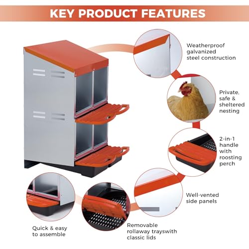  Chicken Nesting Box with Cleanable Pull Out Trays, 4 Hole Roll Away Nesting Box for Laying Hens, Wall Mount or Placed Design for Easy Egg Collection ﻿ - color: Orange, size: 4 Holes & 2-tier