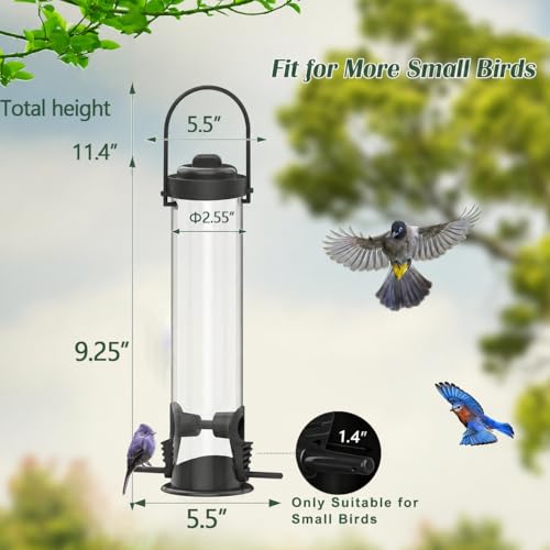Bird Feeders for Outdoors Squirrel Proof, Elongated Oval | Effective Squirrel Block Design,Heavy-Duty Weather & Chew Resistant Build,Multi-Port Feeding & Large Seed Storage