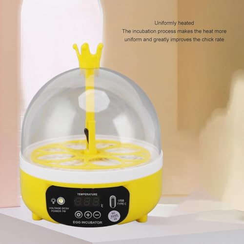 4 Eggs Mini Incubator, 7W USB Household Small Poultry Hatching Machine Automatic Temperature Humidity Control Egg Turner with Clear Lid Water Injector Spray Bottle for Chicken, Quail, Bird Eggs | ABS mini 4 egg incubator with auto turn humidity control Tr