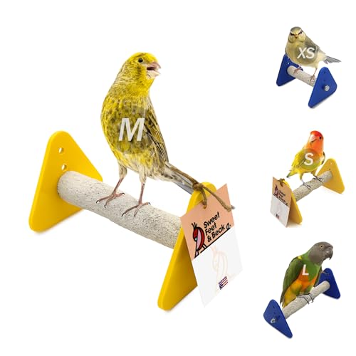 Sweet Feet and Beak Baby Weaning Stand, Medium Training Bird Perch | 3 Adjustable Heights, Training & Play Stand, Easy to Clean, Handmade in USA, For Baby Finches, Canaries & Small Budgies - size: Medium