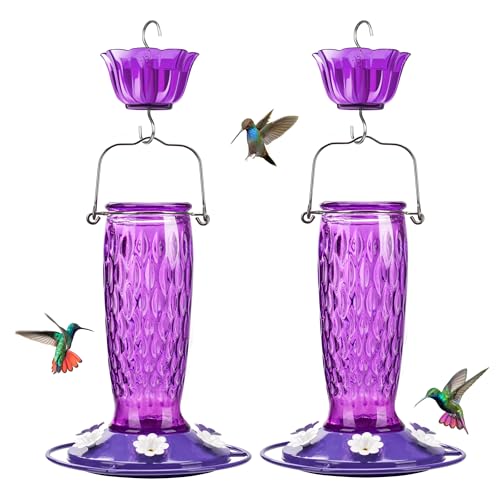 Kingsyard 2 Pack Glass Hummingbird Feeder for Outdoors with Ant Moat | 24 oz, Wide-Mouth Opening, 6 Metal Feeding Ports, Bee Guard, Easy to Clean & Refill Nectar, 360 Degree Perch, Purple - color: Purple