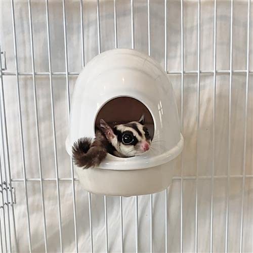 Press 'N' Slide Feed Station - Durable Mounted Food Bowl Dish - Sugar Gliders, Squirrels, Prairie Dogs, Degus, Marmosets, Parrots, Birds, Rats, Hamsters, Gerbils & Other Small Pets… (with Dome) - size: With Dome