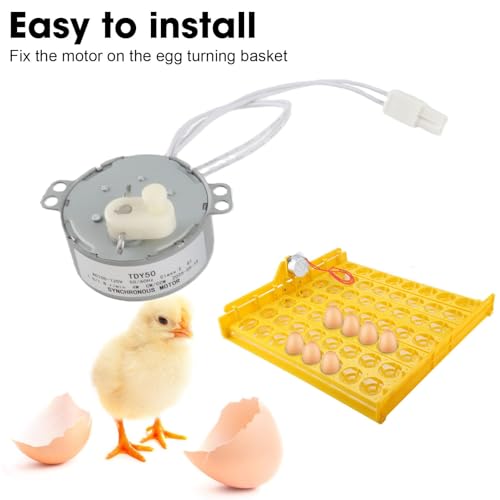 Egg Tray Turning Motor, Electric Synchron Motor Replacement Egg Turner Motor, Automatic Egg Turning Tray Tool Incubator Accessories for Incubating Chicken, Duck and Quail Egg