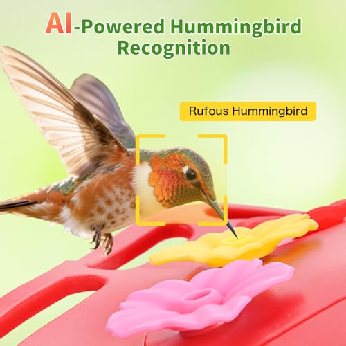 Camera Bird Feeder