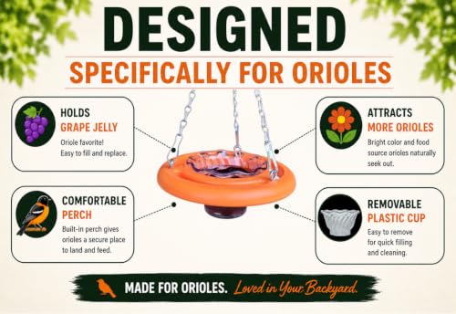 Oriole Bird Feeder, 6 Inch Orange Fruit Jelly Feeder, Baltimore Oriole Hanging Design (2)