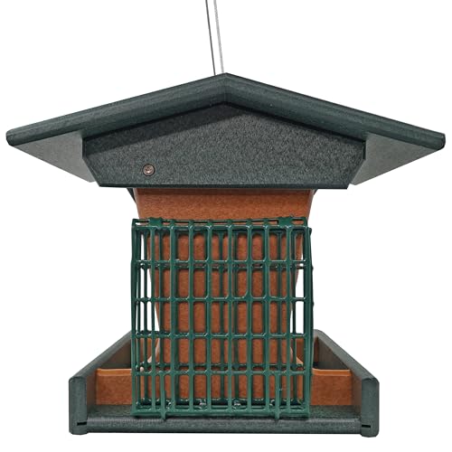 DutchCrafters Poly Hopper Bird Feeder with Suet Holder, Large Suet Feeder for Birds, Outdoor Hanging - Amish American Made (Turf Green & Cedar) - color: Turf Green & Cedar