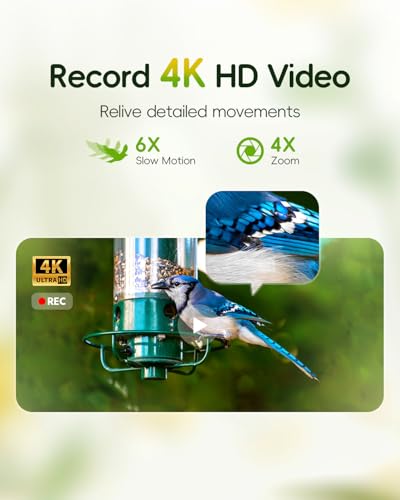 Hibird 4K HD Smart Bird Feeder Camera Solar Powered, 2.4G/5G Dual WiFi Wireless Outdoor, 6X Slow Motion Auto Bird Video Capture, Instant Notifications, AI Identify 10000+ Species for Everyone