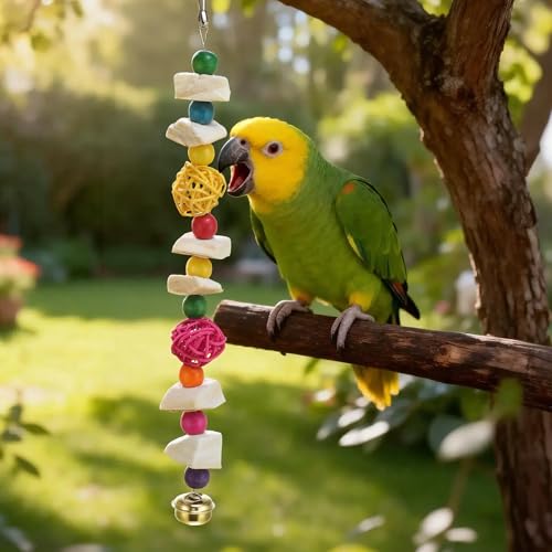 Bird Toys with Cuttlebone, Grinding Stone for Bird, 2 Pcs, C | Prevent Destructive Chewing, Colorful，White - style: Style C