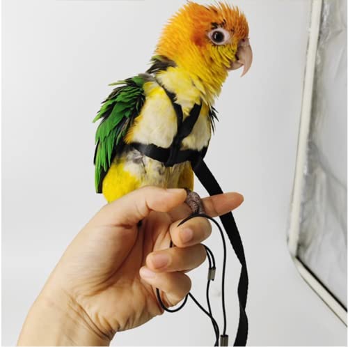 Adjustable Bird Harness with 78.7 Inch Leash, Outdoor Flying Training Rope Kit for Bird Parrots, Parrot Flying Rope Straps Outdoor Training Traction Rope for Small Medium Large Size Birds (L) - size: L