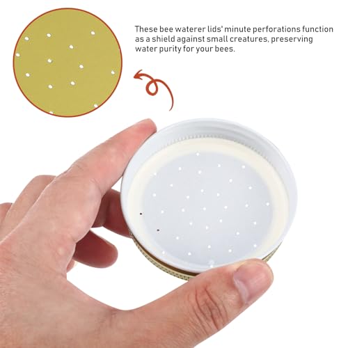 Toddmomy 8pcs Metal Bee Feeders Entrance Beehive Lid, Honeybee Feeder for Beehive Water or Sugar Syrup Feeding Equipment, 7.30X7.30X1.50CM