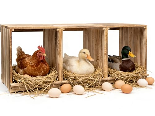 Nesting Boxes for Chickens, Oltara 3 Compartment Carbonized Wooden Egg Laying Nest Box for Chickens, Hens, Ducks,Bird Houses