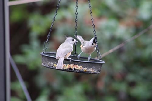 Hanging Bird Feeder, Birdfeeder Hanging for Garden Yard Outside Hanging Bird Feeder Tray - Metal Mesh Platform Feeders for Birds Outside Outdoors Hanging for Attracting Birds, 2Pcs - size: 2 Pack