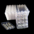 Honkenda Clear Plastic Quail Egg Cartons, 12 Tray Small Eggs Carton Holders Container, PVC Stackable Egg Storage Box with Hinge Lid, 12 Grids Egg Protection Box for Pheasant Pigeon (50 Pack)