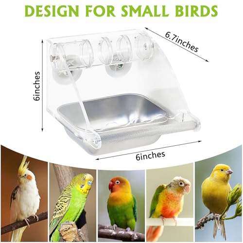 BNOSDM Bird Feeder for Cage with Rotating Foraging Toy No Mess Acrylic Hanging Food & Water Dispenser with Stainless Steel Bowl & Anti-Slip Perch Stand for Parrot, Budgie, Parakeet, Lovebird, Canary