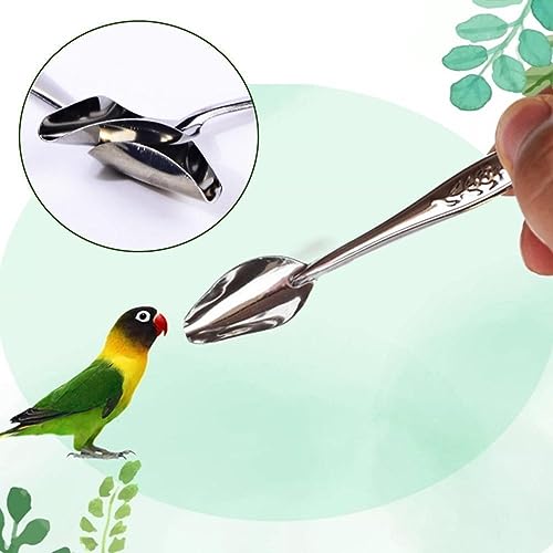 6 Pcs Stainless Steel Bird Feeding Spoon - Narrow Tip for Baby Birds Young Pet Birds, Parrot Milk Spoon Fit Finch Canary Cockatiel Hand Feeding,Spoons for Feeding Nestlings/Hatchlings