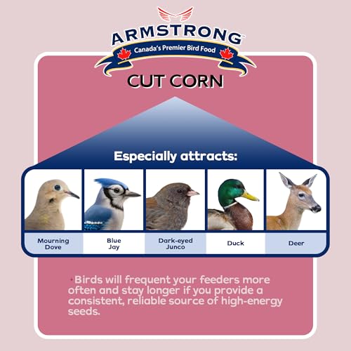 Armstrong Wild Bird Food Cut Corn, 23 Pounds - Premium High-Energy Feed for Mourning Doves, Blue Jays, Ducks & Deer - Ideal for Backyard Feeders, Ground Feeding & Outdoor Wildlife - size: 23lbs