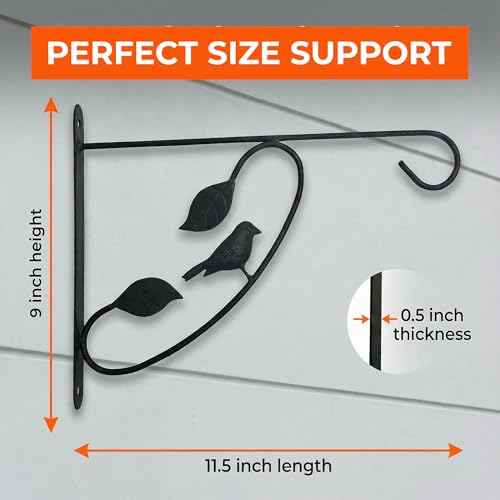 Bird Scroll Metal Wall Bracket for Hanging Accessories and Flowerpots Suitable for Indoor & Outdoor Use, Black Set of 2 - color: Black, size: Bird Scroll