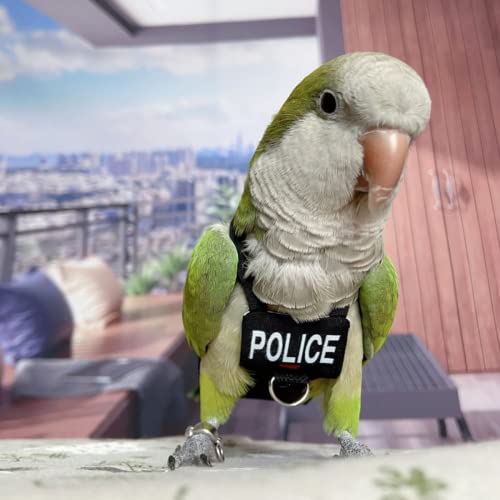 Bird Diaper Harness Flight Suit Clothes, Parrot Flight Suit with Leash for Parrot, Bird Flying Clothes with Rope and Handle for Outdoor Activities Training (with Leash - Large) - size: With Leash - Large