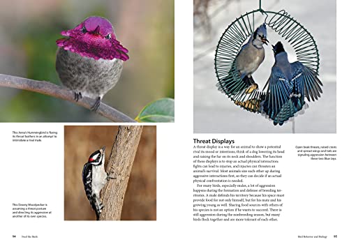 Feed the Birds: Attract and Identify 196 Common North American Birds