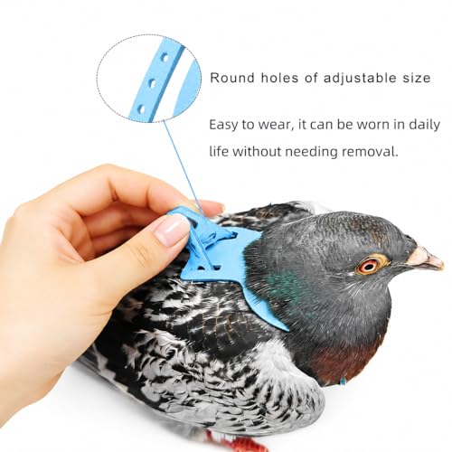 Bird Harness and 3M Elastic Flight Leash, Adjustable Parrot Harness for Budgies, Parakeets, Lovebirds, Cockatiels, Conures, Quaker Parrots, Pigeons(Blue, XL) 6350-29 - color: Light Blue, size: XL,for Mourning Dove and similar size birds