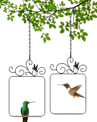 PACETAP Hummingbird Swings and Perches Metal Frame 2 Pack, Wild Bird Swing Outdoor Bird Perch with Wooden Dowel and 2 Hanging Chain for Indoor, Outdoor, Trunk, Lawn, Patio, Garden (2 Hummingbirds) - size: 2 Pack Hummingbird