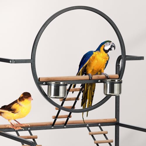 Garvee Bird Playstand, 64'' H Bird Stand, Activity Play Center w/Ladders | Removable Tray, Indoor Outdoor Playground for Parakeet, Cockatiels Conures Macaw (64 Inches Height) - size: 66‘’ H